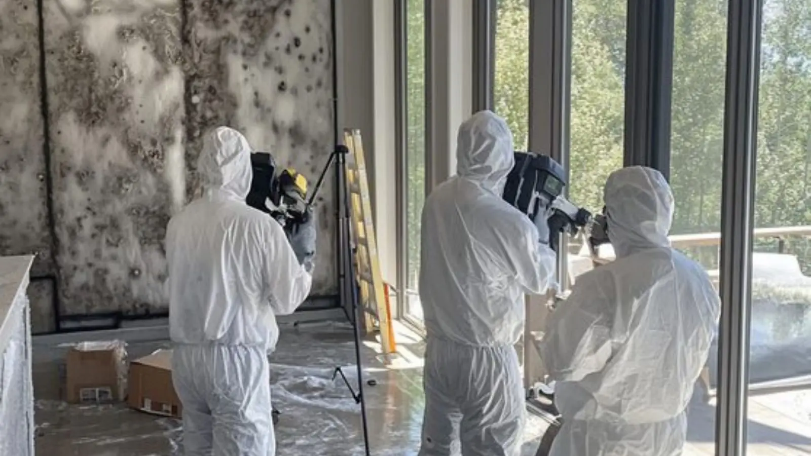 Three technicians in white protective suits assessing mold on the walls of a room