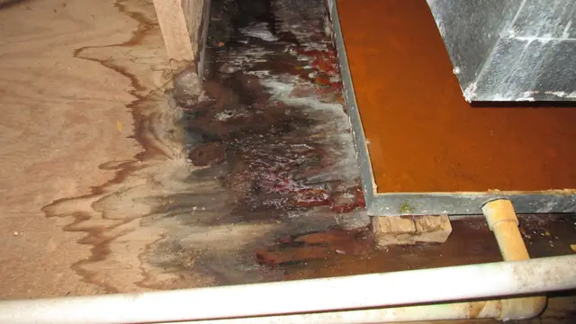 Water-stained plywood subfloor with warped wood and a cut edge