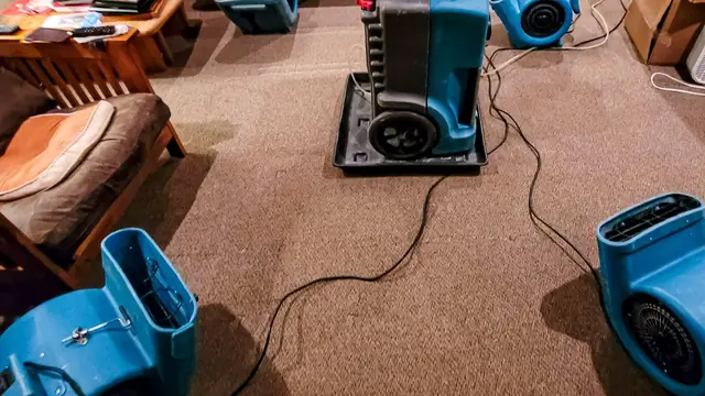 Air movers and a dehumidifier running on wet carpet in a living room